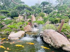 -罗红摄影艺术馆