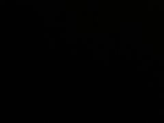 -鱼宴馆·家宴老字号淳鱼馆(千岛湖总店)