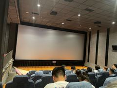 -华美国际影城(旧宫永辉店)