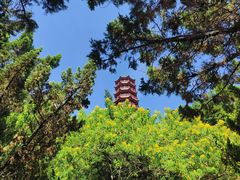 -南沙天后宫景区