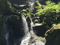 -藏龙百瀑风景区