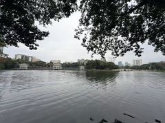-荔湾湖公园