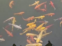 -广州神农草堂中医药博物馆