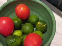 -润园四季椰子鸡火锅(南山海岸城店)