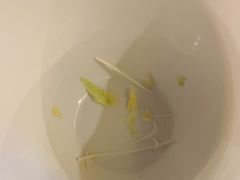 -糟粕醋·椰苑海南菜餐厅(亚龙湾天域酒店)