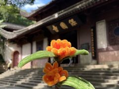 -宁波市保国寺古建筑博物馆