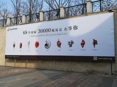 -青岛贝壳博物馆