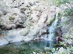 -云岫谷游猎自然风景区