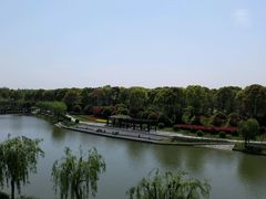 android_upload_pic-上海鲜花港