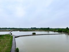 -盐城丹顶鹤湿地生态旅游区