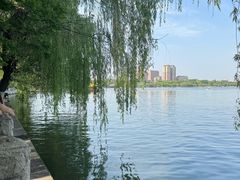 -济南大明湖景区