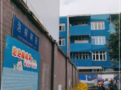 -泡桐树街