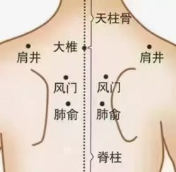 -丽减美瘦吧·减肥瘦身
