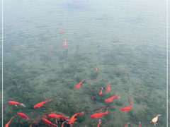 -西湖国宾馆·紫薇厅