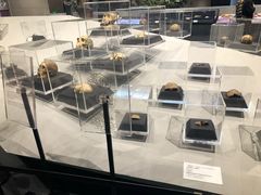 -北京周口店北京人遗址博物馆