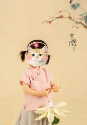 -iplus爱家高端孕妇摄影