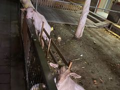 -有喜胶东小馆(超极合生汇太申祥和店)