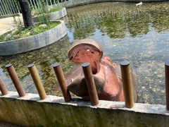 -常州淹城野生动物世界