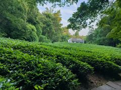 -敬亭山风景名胜区