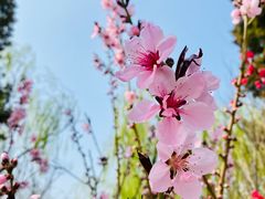 -北京石景山游乐园