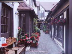 -卡梅尔海