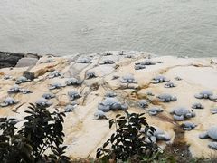 -问海文创园