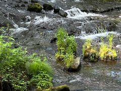 -峡谷浮石林景区