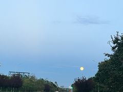 -郭家大院 老南京土菜(九霄店)