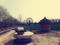 景点-溱湖国家湿地公园