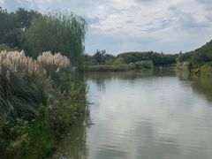 -南湖湿地公园