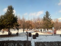 -吉林大学(前卫南区)
