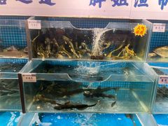 -胖姐渔村(中源大道店)