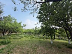 -云龙山