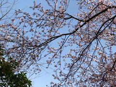 -洨河生态公园
