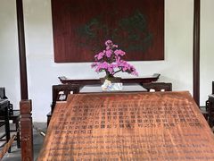 -上海醉白池公园