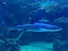 -多彩贵州城极地海洋世界