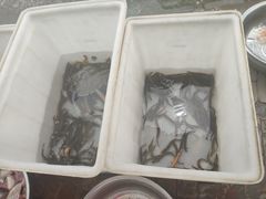 -夏家大锅台炖鱼馆