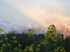 -贵阳市花溪国家城市湿地公园