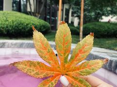 -静之湖度假区