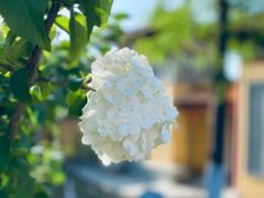 -南京市江宁方山