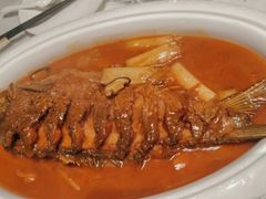 红烧黄河大鲤鱼-阿五黄河大鲤鱼(海尚店)