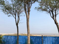 -东疆建设开发纪念公园