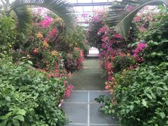 -呀路古热带植物园