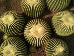 -南通洲际绿博园