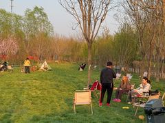 -爪吧宠物乐园 (温榆河示范区店)