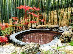 -江南天池高山汤泉城