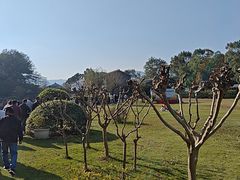 -陶祖圣境风景区