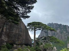 -黄山风景区