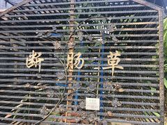 -广州神农草堂中医药博物馆