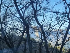 -泰山风景名胜区